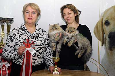 �������� ����� '������ ���-�����'  22-23 ������� 2014 ������������ ��� DSC_1494r 178.jpg